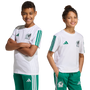 Camiseta adidas México ADN juvenil