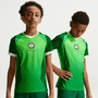 Nike Youth Nigeria Home 2026 Stadium Jersey