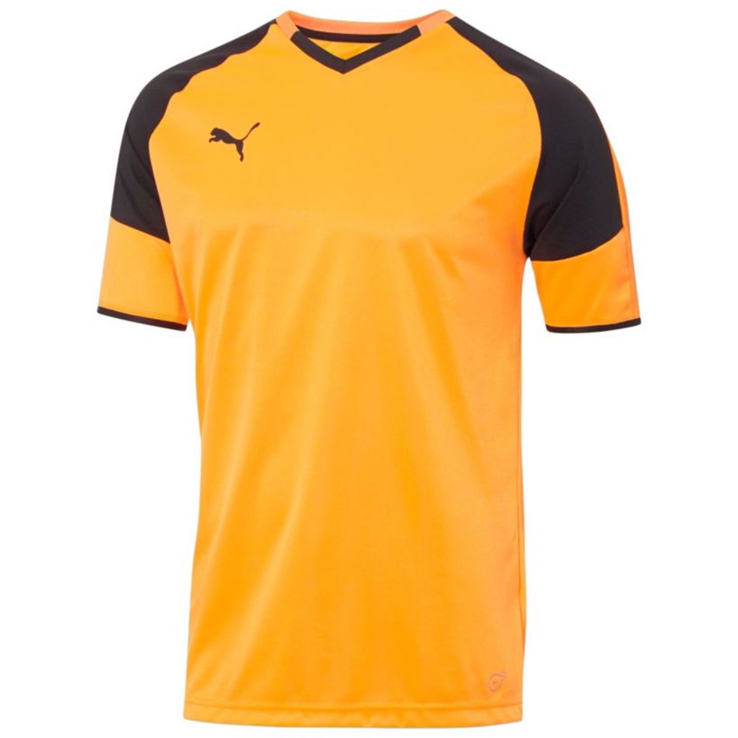 Camiseta Puma del Borussia