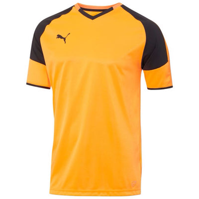 Puma Borussia Jersey