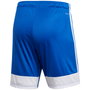 adidas Tastigo 19 Short