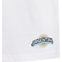 adidas Youth Argentina 26 Away Graphic Tee