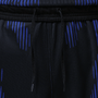 Nike Brasil Futebol x Jordan 2026 Men's Stadium Away Shorts