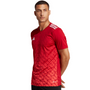 Camiseta adidas Team Icon 23