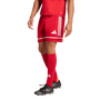 Pantalón corto Adidas Squadra 25