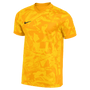 Camiseta Nike Precision VII Dri-FIT