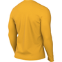 nike Team Dri Fit Legend Long Sleeve Tee
