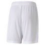 Puma TeamGoal 23 Knit Short