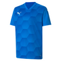 Camiseta gráfica Puma TeamFinal 21