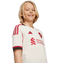 adidas Liverpool FC 2025 26 Youth Away Stadium Jersey