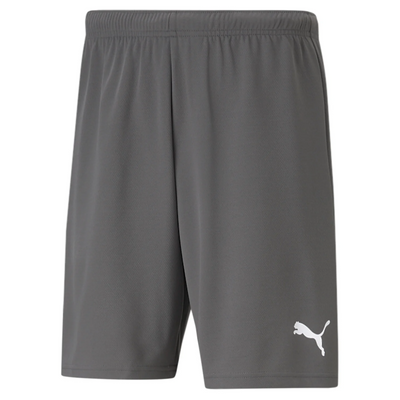 Puma Team Rise Short