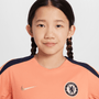 Camiseta de punto de manga corta Nike Youth Chelsea FC Strike Special Edition