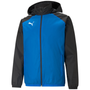 puma Team Liga 25 All Weather Jacket