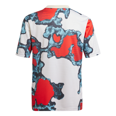 adidas Bayern Munich 2024-25 Youth Pre-Match Jersey
