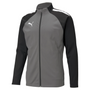 Puma Team Liga 25 Training Jacket