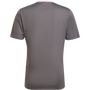 Camiseta adidas Entrada 22
