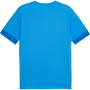 Puma TeamGOAL Matchday Jersey