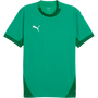 puma Teamfinal Jersey