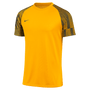 Camiseta Nike Dri-Fit de manga corta Academy